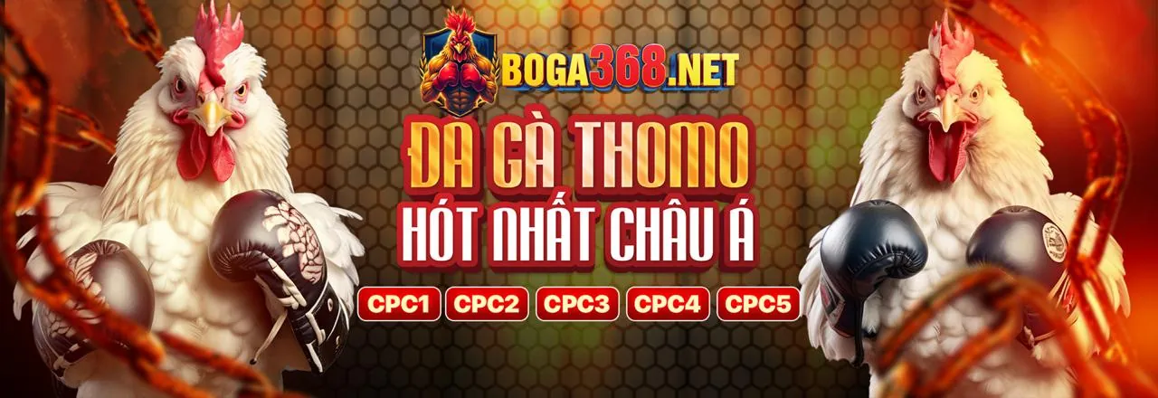 Các tính năng nổi bật của ứng dụng 39bet14