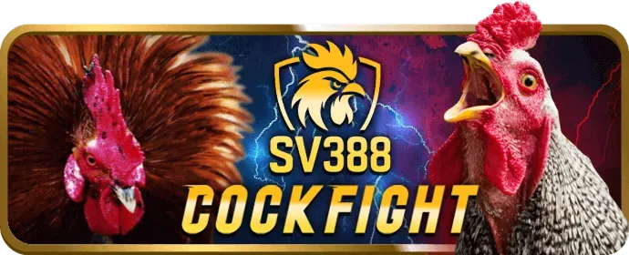 Minh họa phân tích dữ liệu và hiệu suất trang web tại tải 39bet14